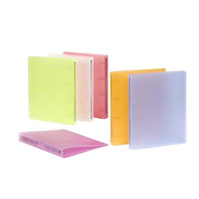 CLASSEUR A4 PROPYSOFT DOS 30
