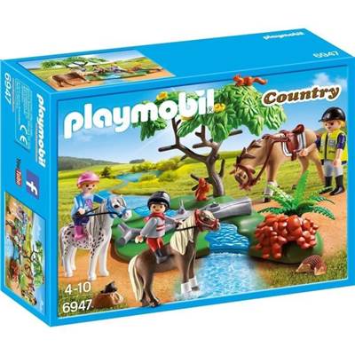 Cavaliers avec poneys et cheval